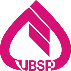 logo-VBSP-Bank