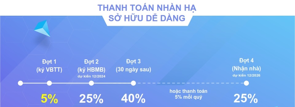 Chính sách thanh toán nhàn hạ 5% Picity Sky Park